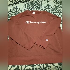 Champion Men's Brown Sweater